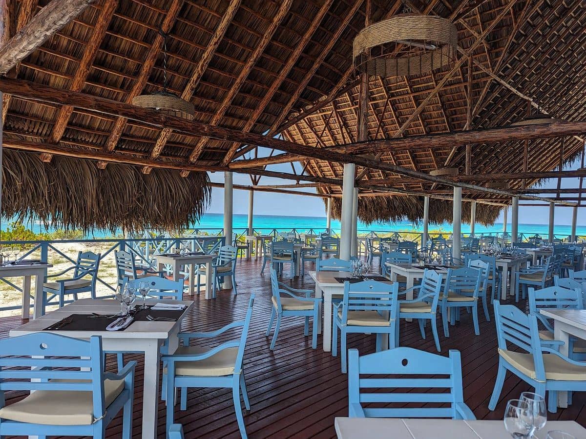 restaurants-restaurants