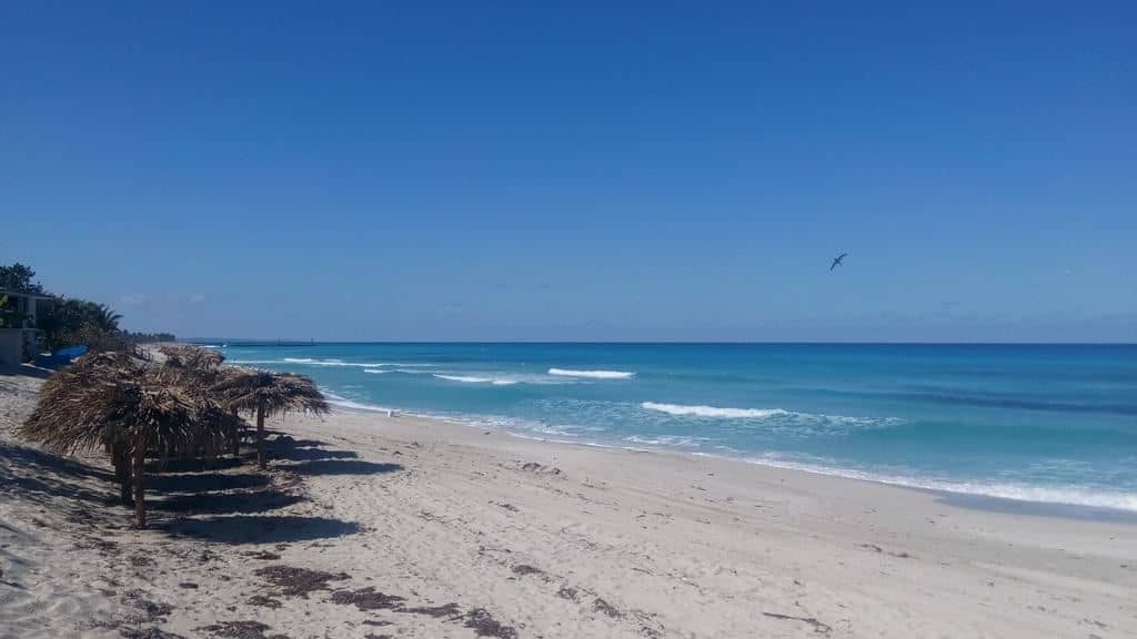 beach-beach