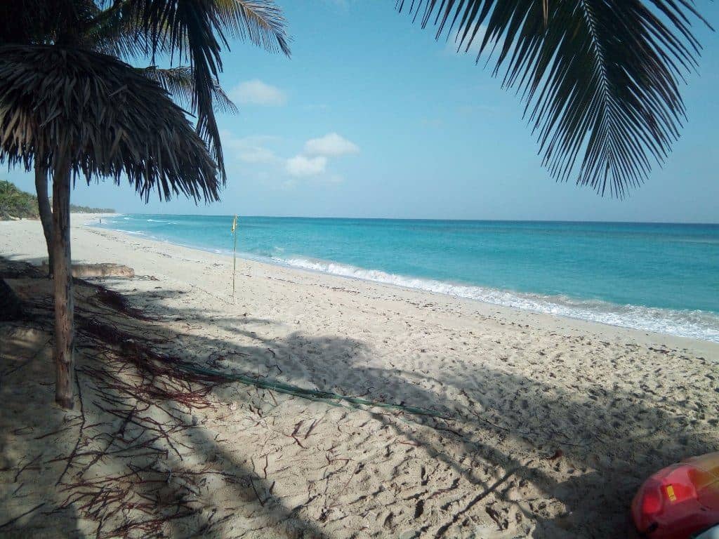 beach-beach