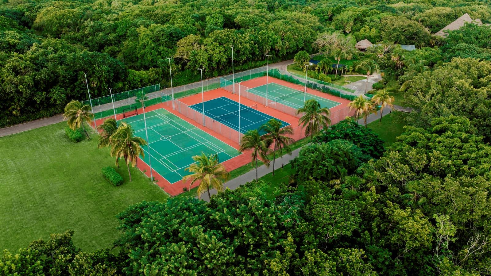 sport-sport