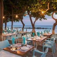 Restaurante preview