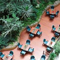 Restaurante preview