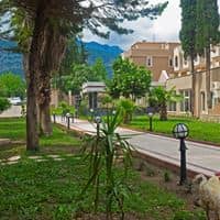 Informații generale preview
