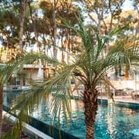 Piscine preview