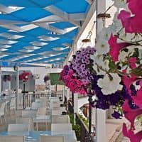 Restoranlar preview