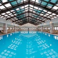 Piscine preview
