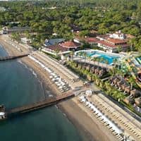 Informații generale preview