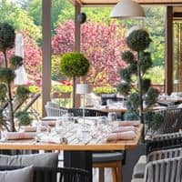 Restaurante preview