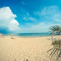 Plajă preview