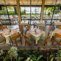 Restaurante preview