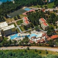 Informații generale preview