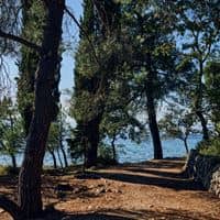 Plajă preview