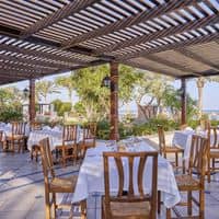 Restaurante preview