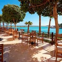 Restaurante preview