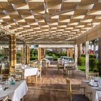 Restaurante preview