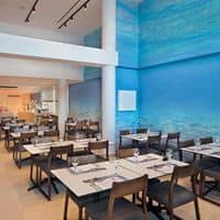 Restaurante preview
