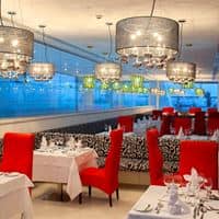 Restaurante preview