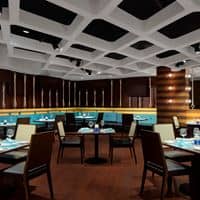 Restaurante preview