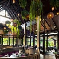 Restaurante preview