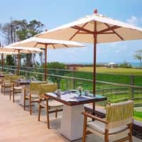 Restaurante preview