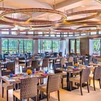 Restaurante preview
