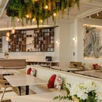 Restaurante preview