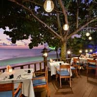 Restaurante preview