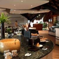 Restaurante preview