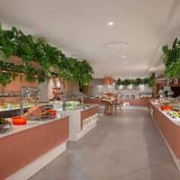 Restaurante preview