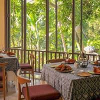 Restaurante preview