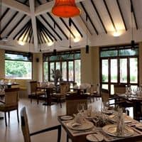 Restaurante preview