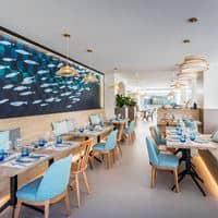 Restaurante preview