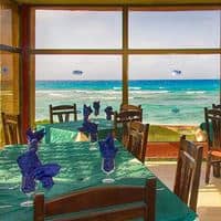 Restaurante preview