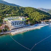 Informații generale preview
