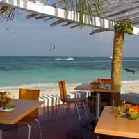 Restaurante preview