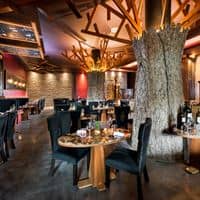 Restaurante preview