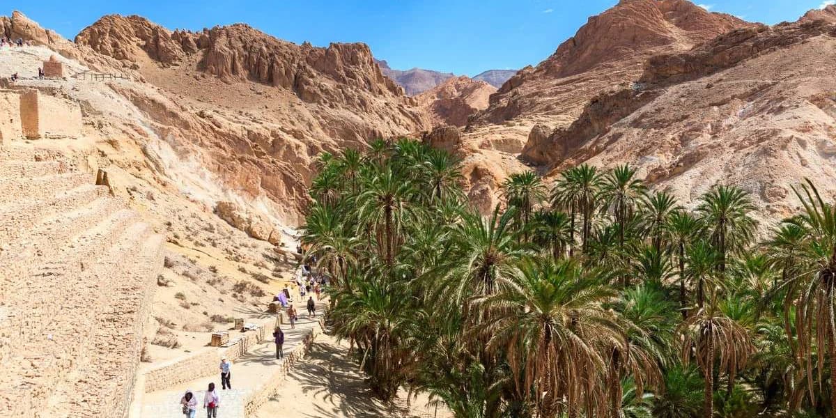 De ce merită să vizitezi Oaza Tozeur? Atracții, activități și sfaturi de călătorie în Tunisia