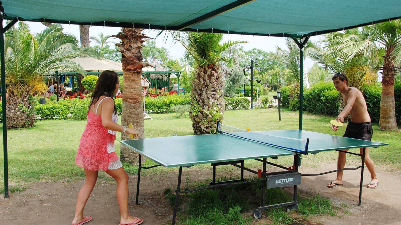 sport-sport