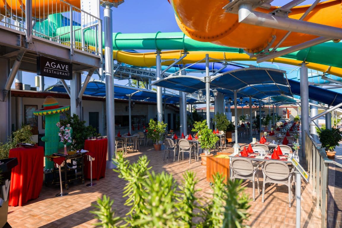 restaurants-agave-restaurant