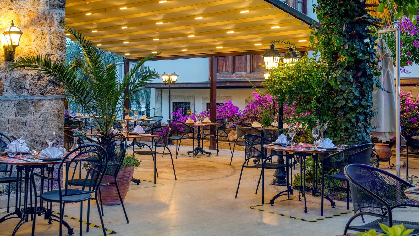 restaurants-begonia