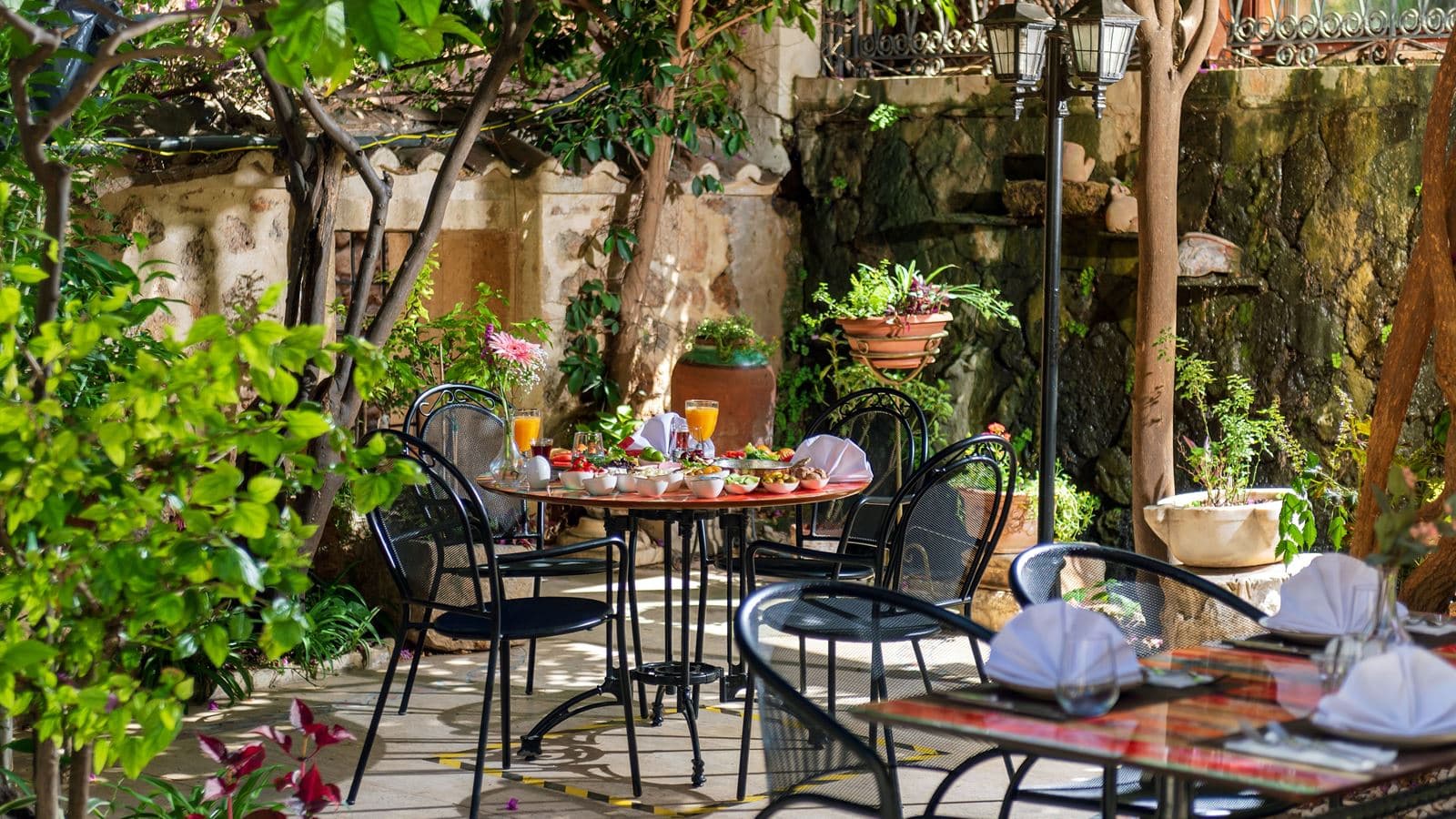 restaurants-begonia