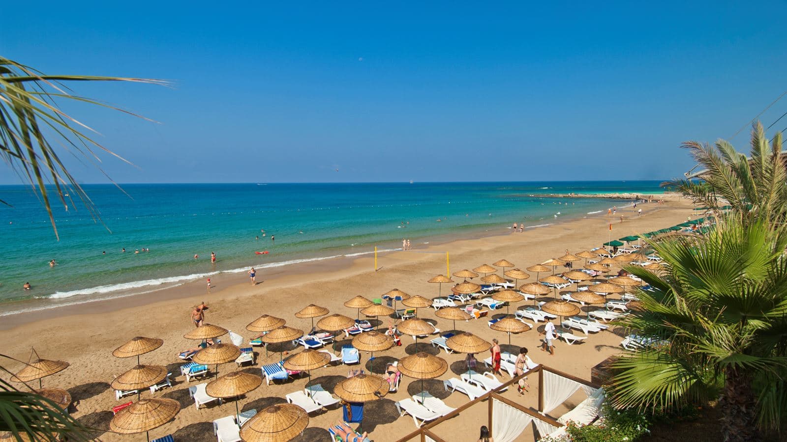 beach-beach