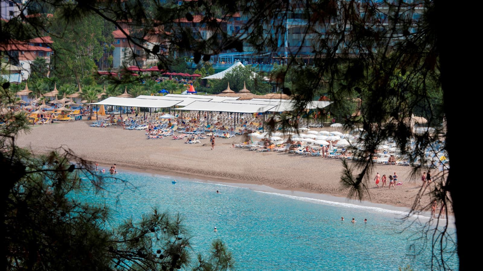beach-beach