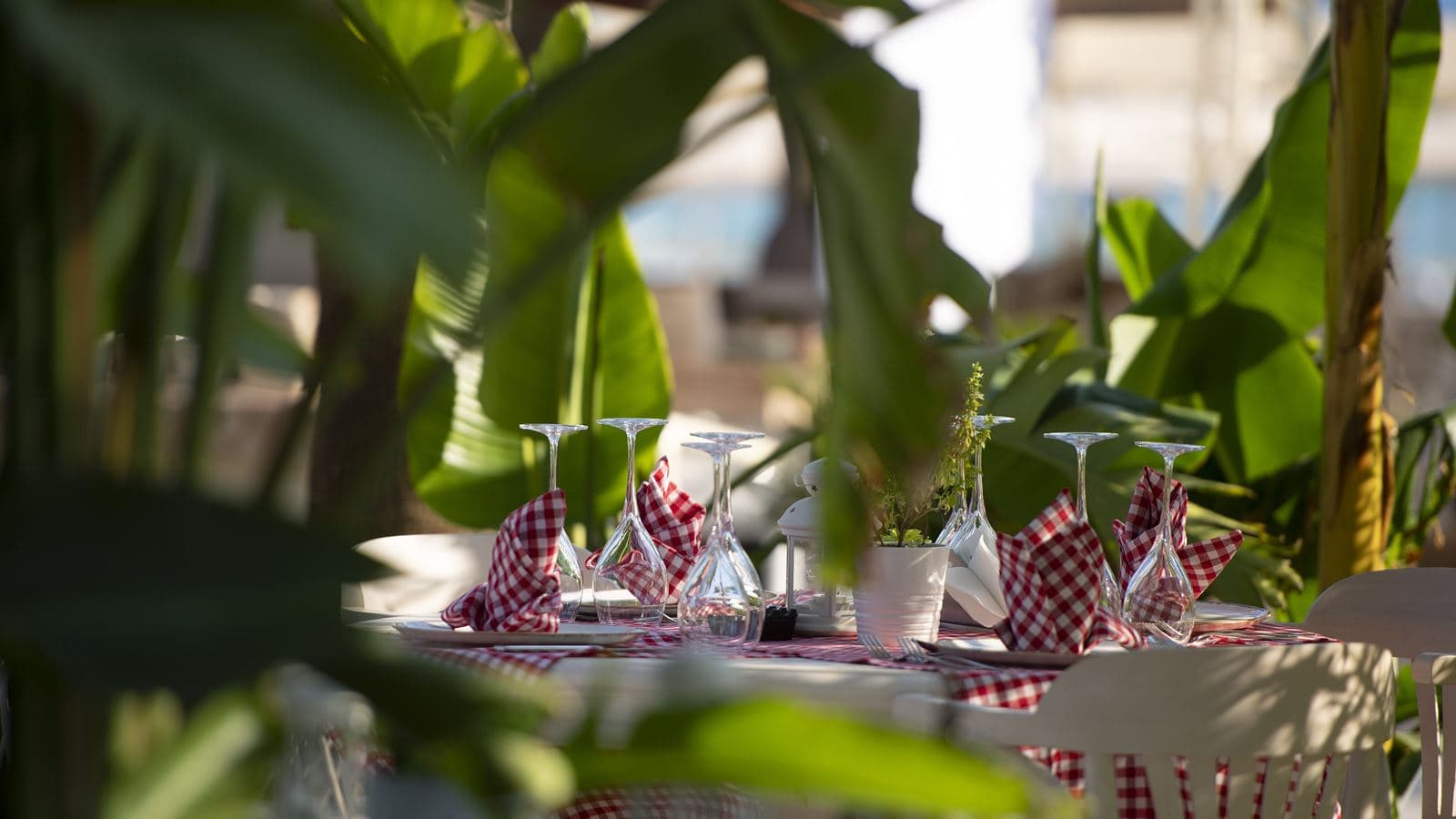 restaurants-