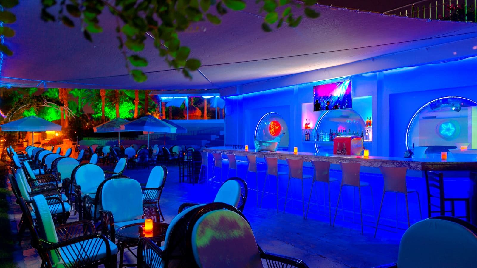 bars-disco-del-mare-bar