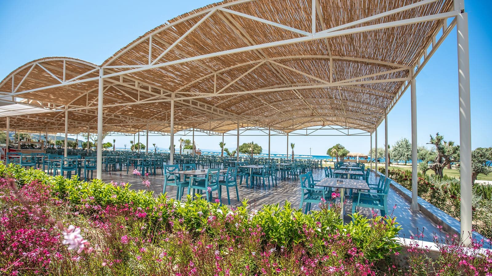 restaurants-zeytin