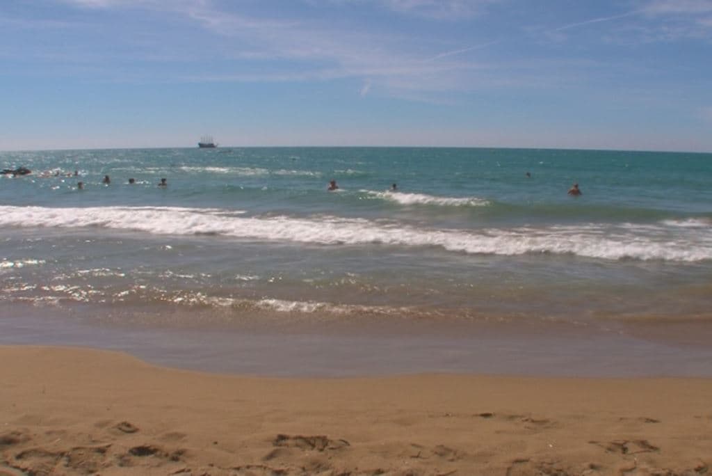 beach-beach
