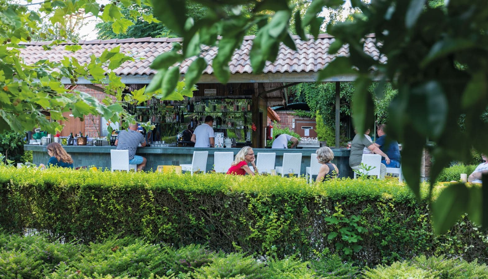 bars-kleopatra-bar