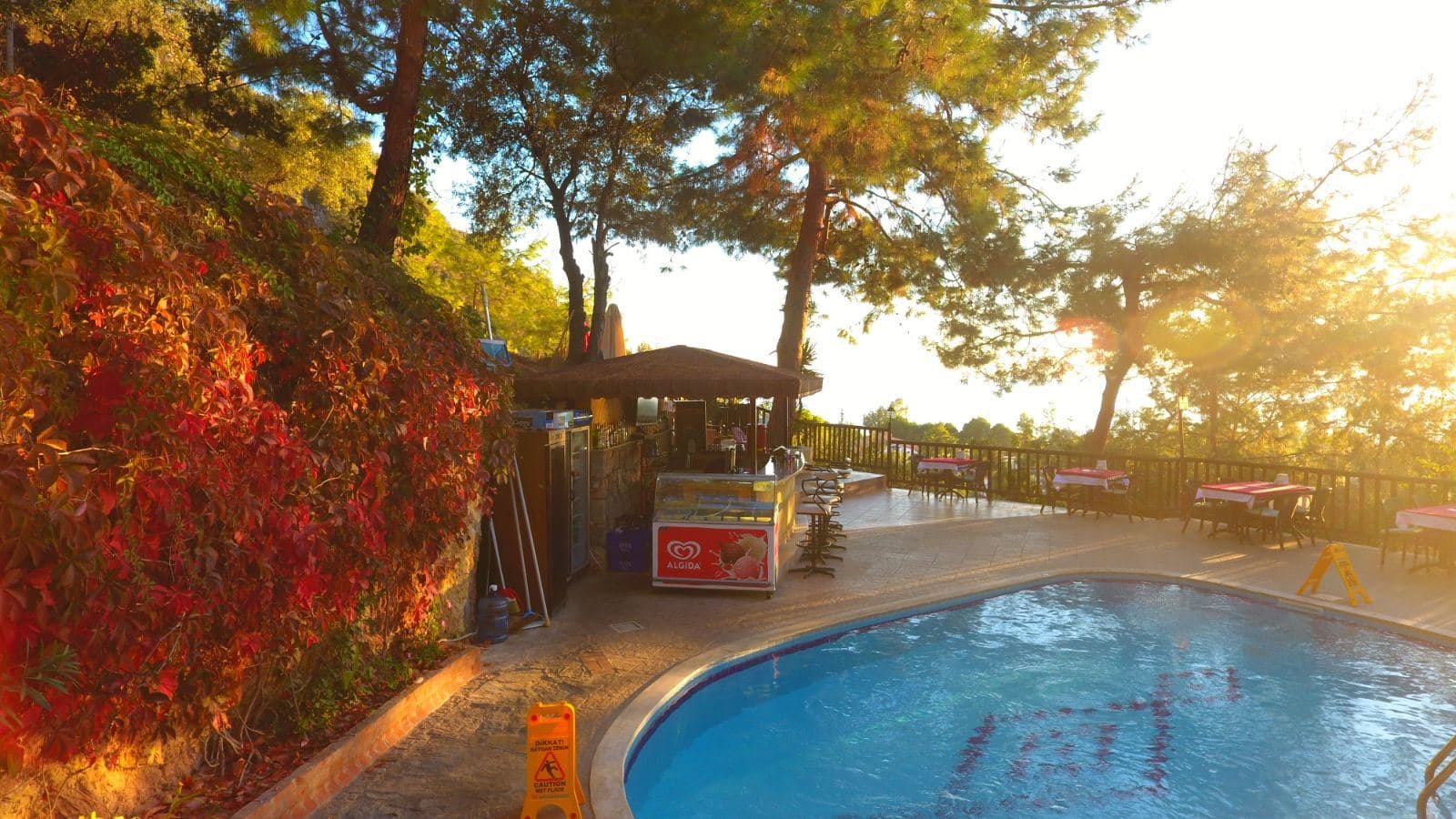 bars-pool-bar
