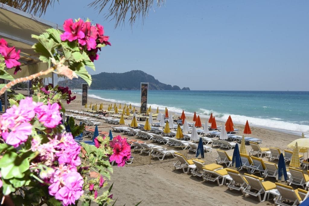 beach-beach